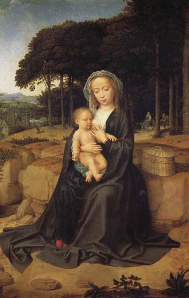 Gerard David Rest on the Flight into Egypt France oil painting art